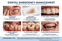 Dental Emergency Management